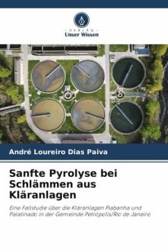 Sanfte Pyrolyse bei Schlämmen aus Kläranlagen - Loureiro Dias Paiva, André