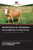 Mycotoxicose du champignon de la paille de riz chez le rat