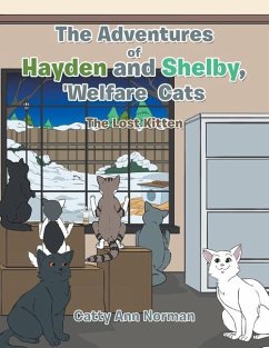 The Adventures of Hayden and Shelby, 'Welfare Cats - Norman, Catty Ann
