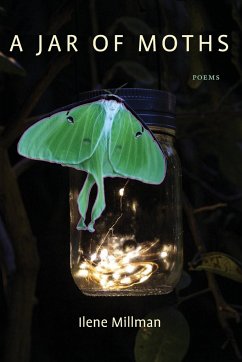 A Jar of Moths - Millman, Ilene