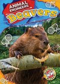 Beavers