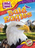 Bald Eagles