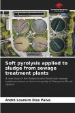 Soft pyrolysis applied to sludge from sewage treatment plants