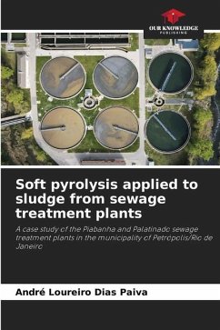 Soft pyrolysis applied to sludge from sewage treatment plants - Loureiro Dias Paiva, André