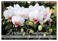 L'orchidée Phalaenopsis (Calendrier mural 2025 DIN A4 vertical), CALVENDO calendrier mensuel