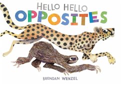 Cover Hello Hello Opposites