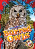 Barred Owls