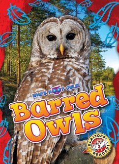Barred Owls - Barnes, Rachael