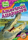 American Alligators