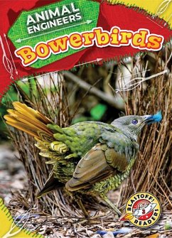 Bowerbirds - Pettiford, Rebecca