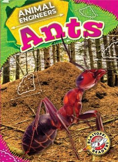 Ants - Pettiford, Rebecca