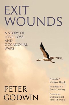 Exit Wounds - Godwin, Peter