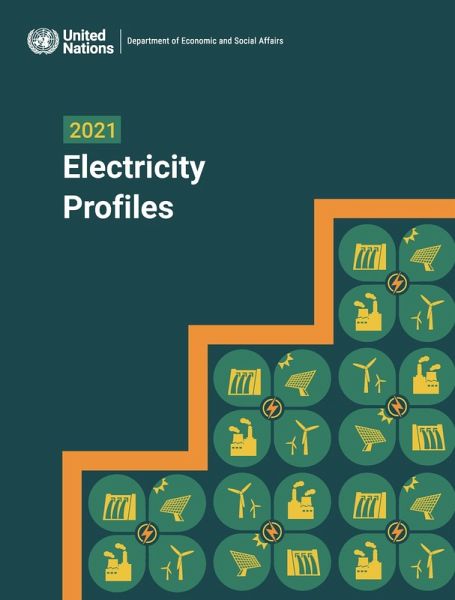 2021 Electricity Profiles