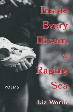 Inside Every Dream, a Raging Sea - Worth, Liz