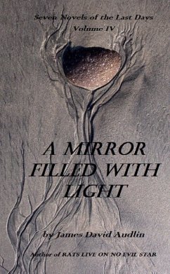 The Seven Last Days - Volume IV: A Mirror Filled With Light (eBook, ePUB) - Audlin, James David
