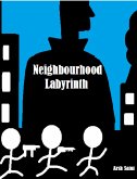 Neighbourhood Labyrinth (eBook, ePUB)