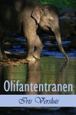 Olifantentranen (eBook, ePUB)