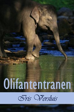 Cover Olifantentranen (eBook, ePUB)