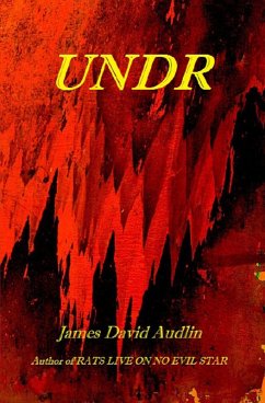 Undr (eBook, ePUB) - Audlin, James David