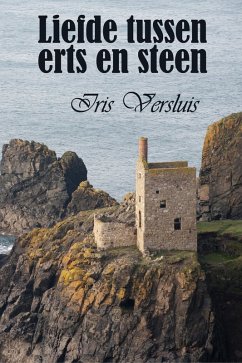 Cover Liefde tussen erts en steen (eBook, ePUB)