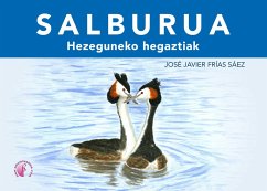 SALBURUA (eBook, ePUB) - Frías Sáez, José Javier