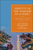 Identity in the Shadow of a Giant (eBook, ePUB)