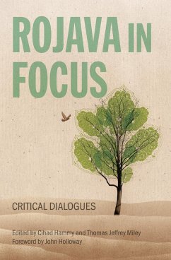 Rojava in Focus (eBook, ePUB)