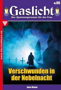 Verschwunden in der Nebelnacht (eBook, ePUB) - Manek, Anne