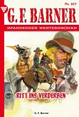 Ritt ins Verderben (eBook, ePUB)