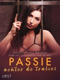 Passie achter de tralies: Erotische korte verhalen over het overtreden van de wet (eBook, ePUB)
