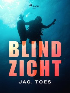 Blind zicht (eBook, ePUB) - Toes, Jac.