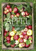 Äpfel  (Restauflage)