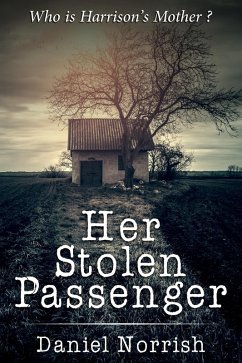 Cover Her Stolen Passenger (eBook, ePUB)