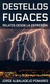 Destellos Fugaces: Relatos Desde La Depresión (eBook, ePUB)