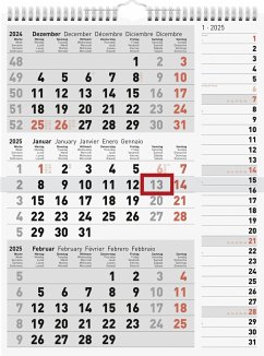 rido/idé 7033330005 3-Monatskalender (2025)  1 Blatt = 3 Monate  300 × 390 mm