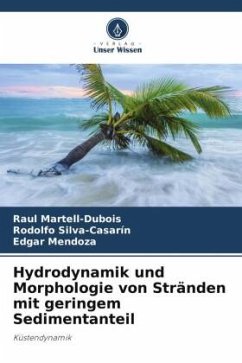 Hydrodynamik und Morphologie von Stränden mit geringem Sedimentanteil - Martell-Dubois, Raul;Silva-Casarín, Rodolfo;Mendoza, Edgar