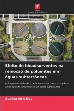 Efeito de bioadsorventes na remoção de poluentes em águas subterrâneas - Dey, Subhashish