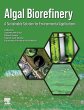 Algal Biorefinery - Bild 1