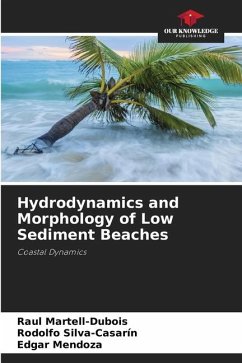 Hydrodynamics and Morphology of Low Sediment Beaches - Martell-Dubois, Raul;Silva-Casarín, Rodolfo;Mendoza, Edgar