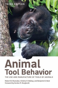 Animal Tool Behavior - Shumaker, Robert W; Walkup, Kristina R; Beck, Benjamin B