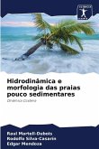 Hidrodinâmica e morfologia das praias pouco sedimentares