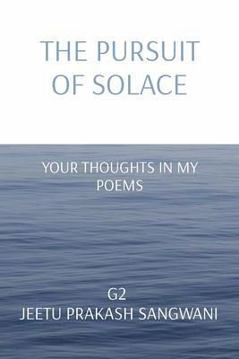 THE PURSUIT OF SOLACE (eBook, ePUB)