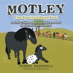 MOTLEY (eBook, ePUB)