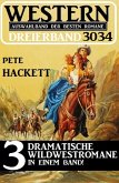 Western Dreierband 3034 (eBook, ePUB)