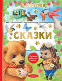 Skazki (eBook, ePUB)