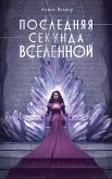 Последняя секунда Вселенной (eBook, ePUB)