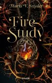 Fire Study (eBook, ePUB)