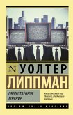 Общественное мнение (eBook, ePUB)