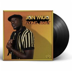 Cover Flying Away (Lp)