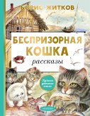 Besprizornaya koshka (eBook, ePUB)